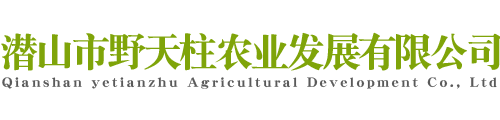 潜山县野天柱农业发展有限公司 